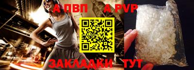 кокс Кингисепп