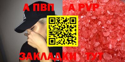 кокс Кингисепп